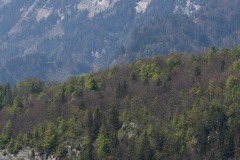 280417meiringen47